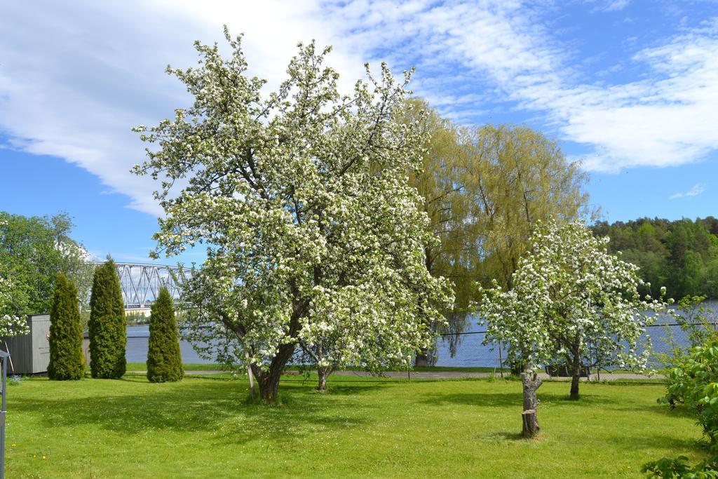 Lossiranta Lodge Савонлінна Екстер'єр фото